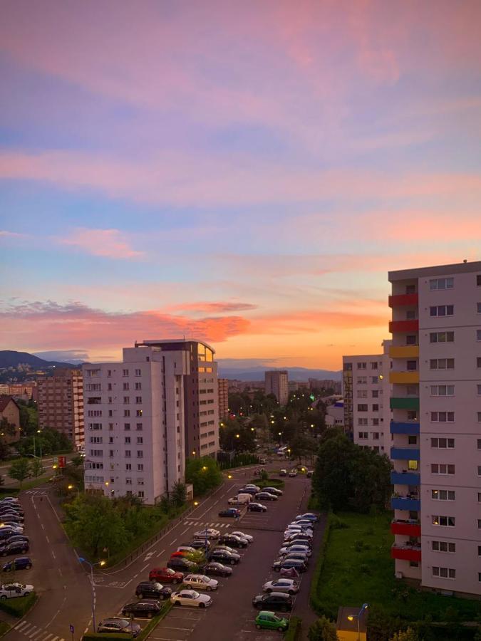 Blue Mountain *